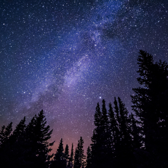 via lactea