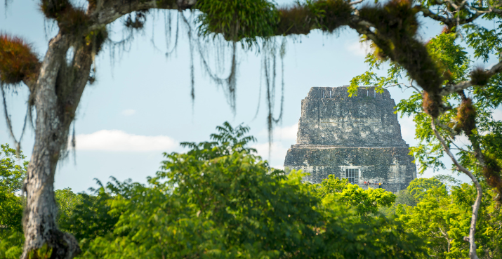 Majestic Tikal