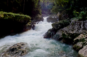 Pozas Semuc Champey