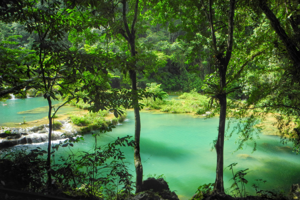 Semuc Champey principal
