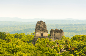 Selva y pirámides